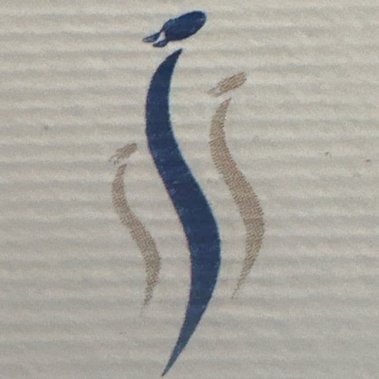 Impulse model management 's profile picture